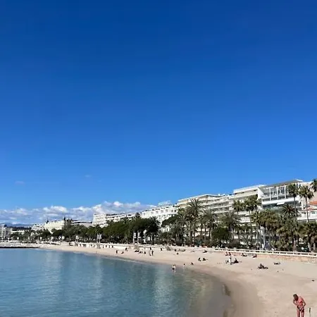 3 Pieces Ensoleille A Deux Minutes A Pied De La Croisette, Apartment *
